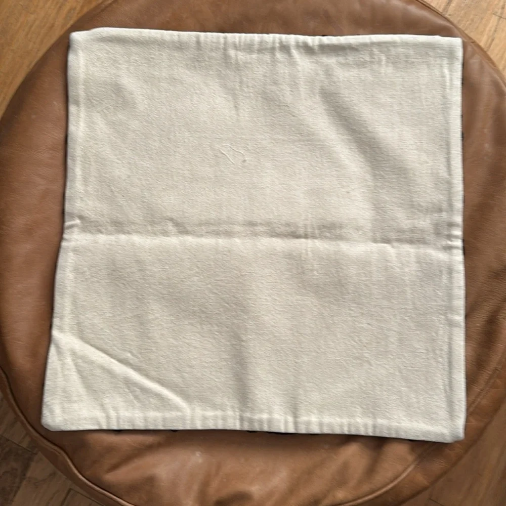 Pillow cover case 20” x 20” west elm pottery barn NWOT